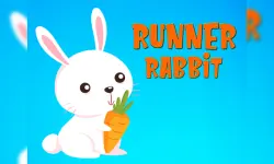 Runner Rabbit image