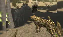 African Cheetah Hunting Simulator image