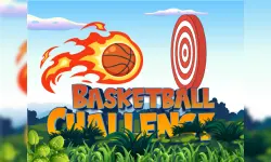 Basketball Challenge Online Game image