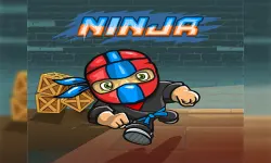 Mini Ninja image