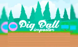 Pig Ball impostor image