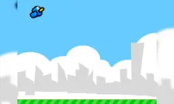 flying bird challenges 2.0 image