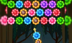 Flower Shooter image