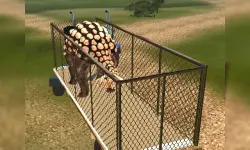 Dino Transport Simulator image