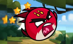 Hero Birds Hidden Stars image