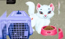 Baby Taylor Pet Care - Save Cute Animals image