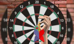 Darts 501 and more image