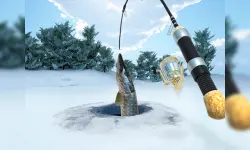 Ice Fishing image