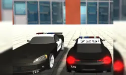 Police Cars image
