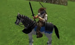 Reiten Simulator image