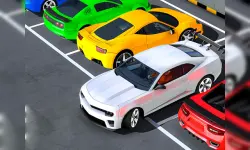 Real Advance Car parking image
