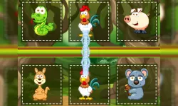 Animals Pairing image