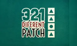 321 Diferent Patch image