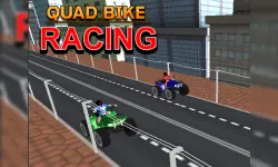 Quad Bike Racing image