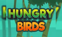 Hungry Bird image