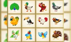 Birds Board Puzzles image