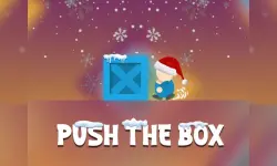 Push The Box Game image