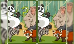 Wildlife Safari Five Diffs image