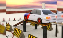 Crazy Cars Parking image