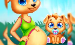 Cute Puppy Pregnant image