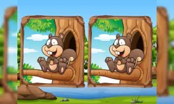 Jungle 5 Diffs image