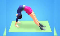 Flex Run 3D image