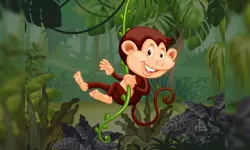 Safari Jigsaw image