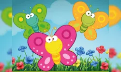 Butterfly Matching image