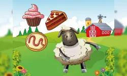 Hungry Sheep image