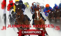 JUMPING HORSES CHAMPIONS image