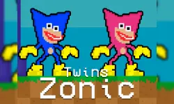 Twins Zonic image