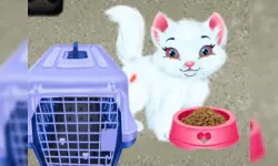 image bg Baby Taylor Pet Care