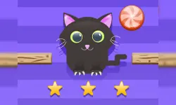 Cut For Cat Challenge image
