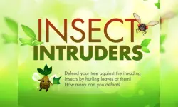 Insect Intruders image