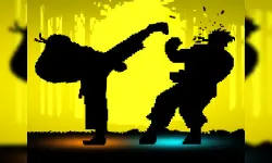 Shadow Fights image