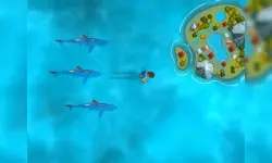 image bg Survive the Sharks