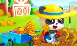 Baby Panda Dream Garden image
