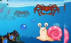 Crab Shooter image