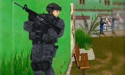 Gun Strike image