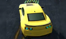 Rac Simulator image