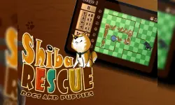 Shiba Rescue : Dogs and Puppies image