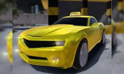 Real Taxi Driver 3D image