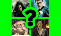 WHICH HARRY POTTER CHARACTER ARE YOU? image