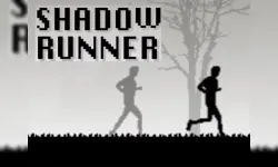 Shadow Runner image