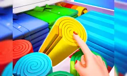 Organization Princess image