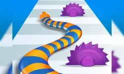 Snake Run Run image