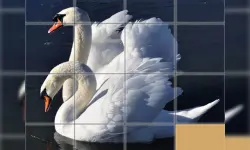 Animals Slide Puzzle image