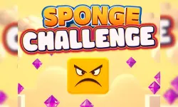 Sponge Challenge image