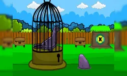 Rescue The Pigeon 2 image