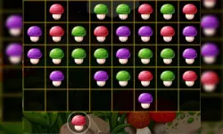 Mushroom Puzzles image
